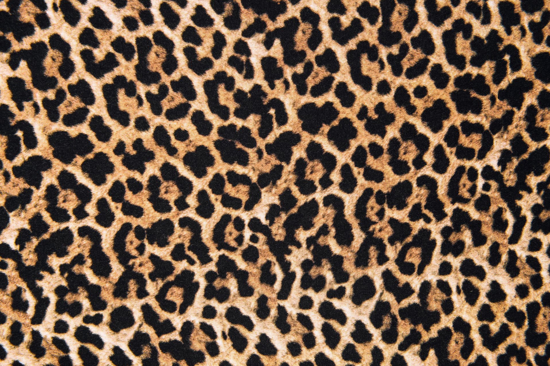 Leopard Animal Print